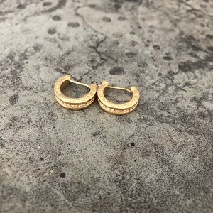 Coach Pave Huggie Earnings